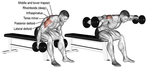 Comment effectuer les élévations latérales ? | Vücut geliştirme, Bench press, Üst beden egzersizleri