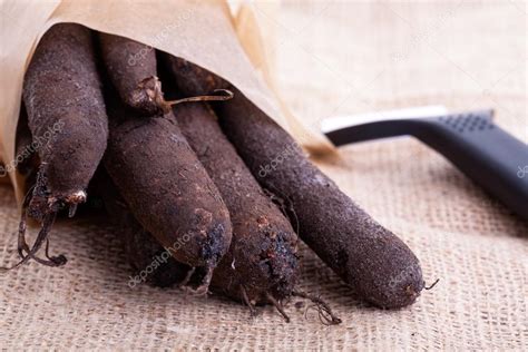 Fresh salsify or oyster plant — Stock Photo © picatmanu #18240041