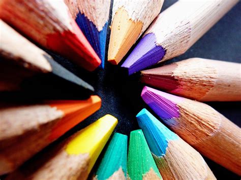 Free Images : pencil, wood, leaf, flower, petal, color, paint, blue, close up, pens, draw ...