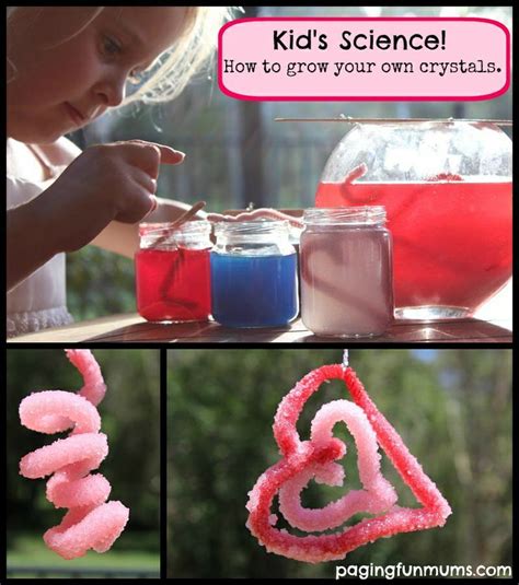 How to grow your own Crystals – Using Borax | Grow your own crystals, Science for kids, Growing ...