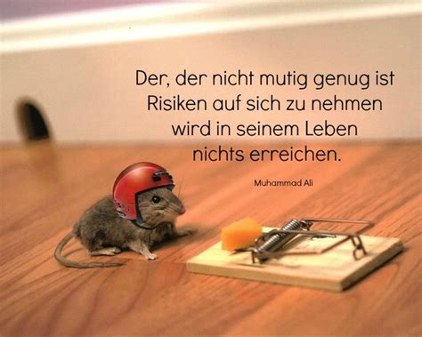 Man muss mutig sein und Risiken begehen Risk Quotes, Motivatinal Quotes, Positive Life, Cool ...