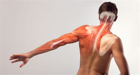 Exercises To Improve Your Scapula Stability And Shoulder Mobility For Golf Article TPI | atelier ...