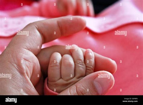 Close up of father hand hold baby hand Stock Photo - Alamy