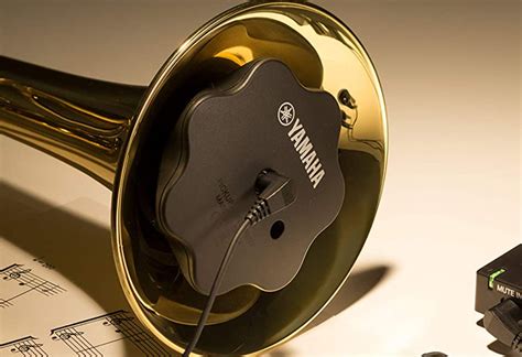 How to Find the Best Trumpet Mute - Brass 'n Wind