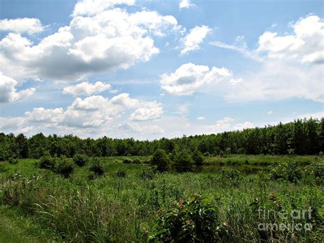 Barkhausen - Cache River Wetlands Center - Cache River State Natural Area - Illinois Photograph ...