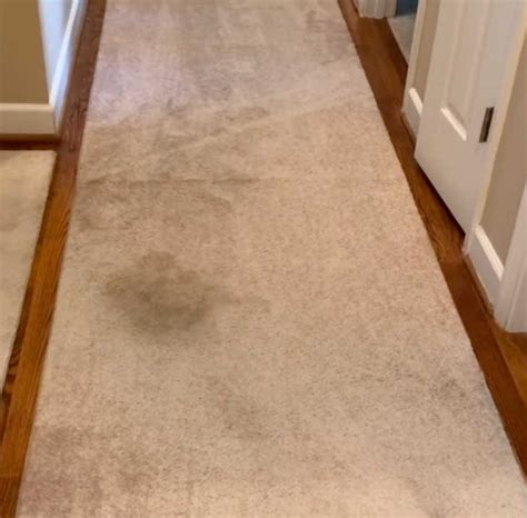 Remove Deep Set In Carpet Stains With These Two Household Items You Have On Hand | 12 Tomatoes