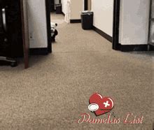 Cute Puppy GIF - Cute Puppy - Discover & Share GIFs