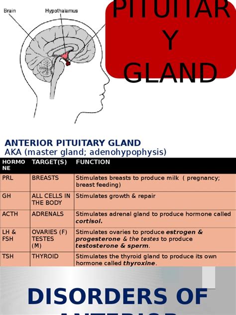 Disorders of Pituitary Gland | PDF | Human Anatomy | Endocrine System