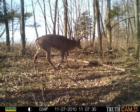 Backwoods, Iowa | Hunting