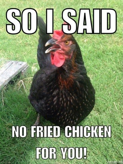 24++ Birthday Memes With Chickens - Factory Memes