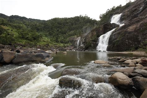 Ranomafana National Park | Madagascar | Wild Safari Guide