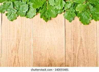 Natural Oak Wood Texture Green Leaves Stock Photo 140055481 | Shutterstock