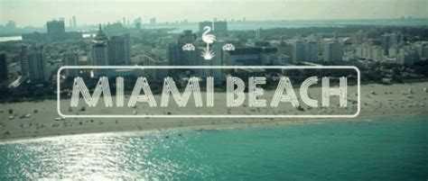 Miami Beach GIF - Find & Share on GIPHY