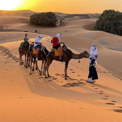 3 Nights Camping in the Sahara desert - Morocco camel trekking