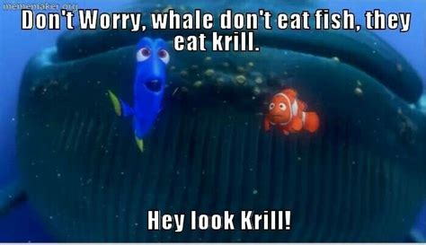 Hey look Krill!! | Krill, Fish pet, Meme maker