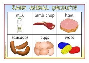 animals that give us food - Buscar con Google | Farm animals, Animal printables, Farm activities