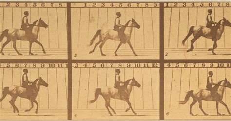 Eadweard Muybridge, Mahomet, from the series The Horse in Motion, 1878 ...