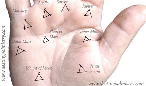 Triangle Mark on the Palm Mounts or Fingers - Destiny Palmistry | Palmistry, Palmistry reading ...