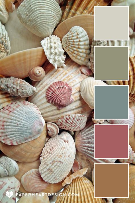 Color Palette: She Sells Sea Shells — Paper Heart Design