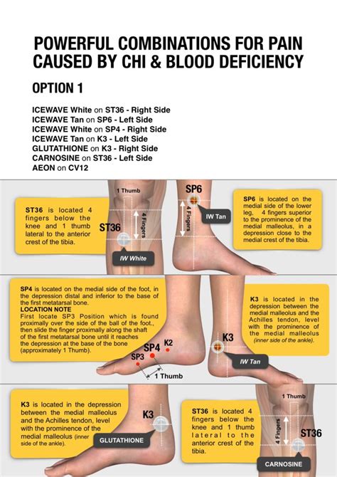 POWERFUL COMBINATIONS Using LifeWave Patches-117 – Patching Protocol