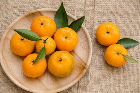 What Are Satsuma Mandarins?