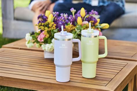 Why Our Editors Love the Stanley IceFlow Flip Straw Tumbler: Tried & Tested | The Kitchn