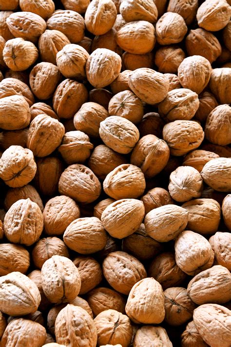Walnuts Free Stock Photo - Public Domain Pictures