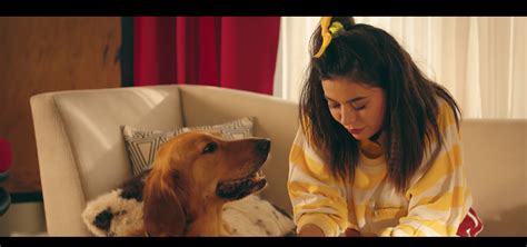 Marshmello Shows Bond Between Woman and Pet Dog in Tear-Jerking ...