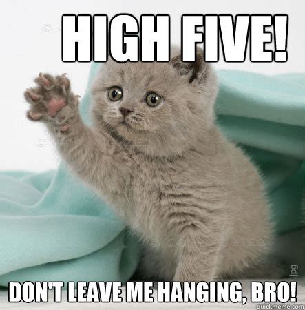 Good job! High five Caption 3 goes here - High Five Cat - quickmeme