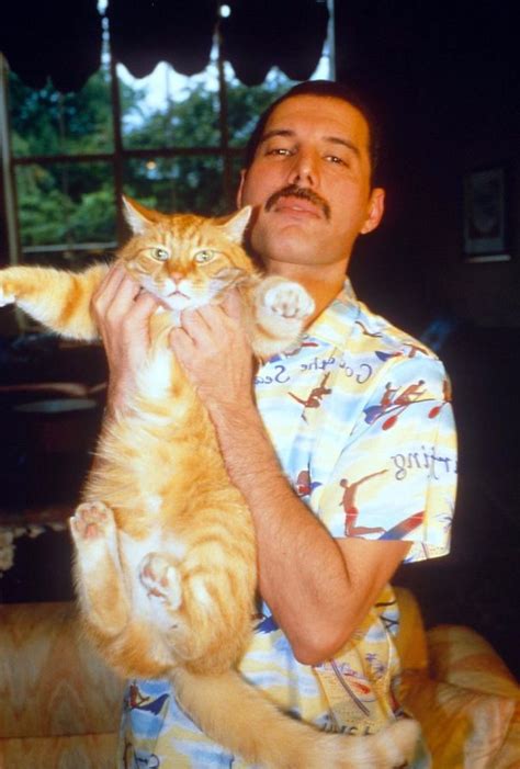 20 Vintage Photos Of Freddie Mercury And His Cats That Show His Love ...