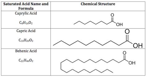 Fatty Acid Structure, Length & Examples - Lesson | Study.com