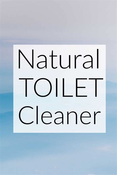 Best Homemade and DIY Natural Toilet Cleaners - Cut the Grime