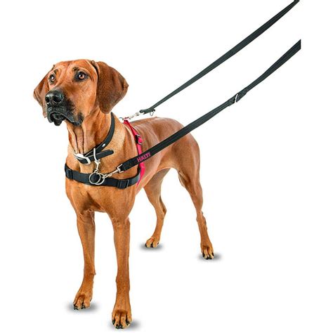 HALTI Dog Harness Stops Pulling Kindly Size Large