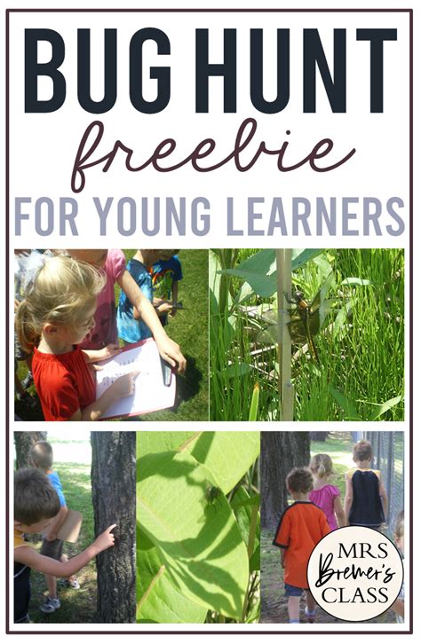 We're Going On A Bug Hunt...freebie! | Mrs. Bremer's Class