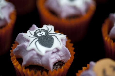 Image of spider cake | CreepyHalloweenImages