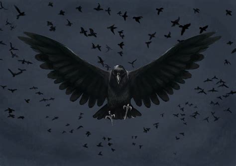 Murder of Crows | Arcadia Tenebra