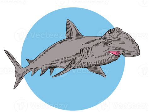 Hammerhead Shark Swimming 14179375 PNG