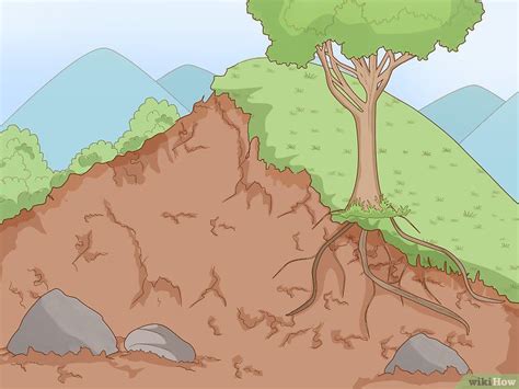 How to Control Erosion (with Pictures) | Dibujos, Jardines rústicos ...