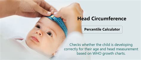 Head Circumference Percentile Calculator · Dr Dad