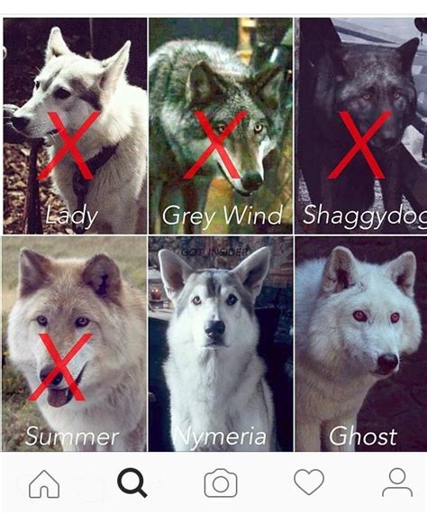 #GoT Dire wolves left ️ | Game of thrones wolves, Game of thrones direwolves, Ghost games