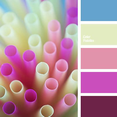 color of fuchsia and blue | Color Palette Ideas