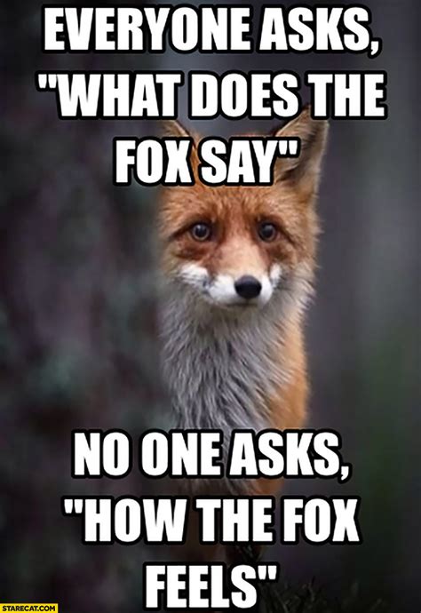 Everyone asks what does the fox say, no one asks how the fox feels | StareCat.com