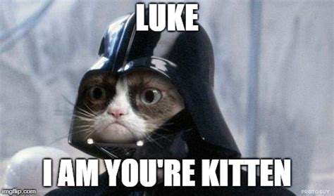 star wars cat - Imgflip