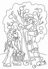 Free & Easy To Print Tree Coloring Pages  Tulamama sketch template