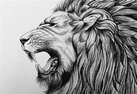 Lion Roar Digital Print Home Decor Wall Art Poster | Etsy