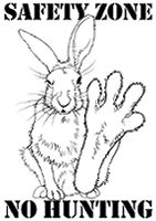 Let's Draw Rabbits and Hares: 40 step-by-step tutorials for drawing realistic pictures