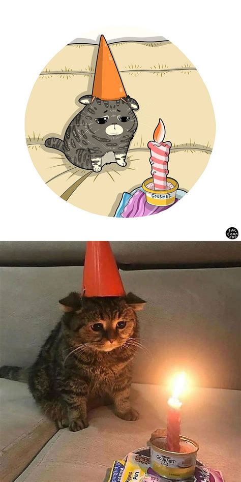 Sad Birthday Cat