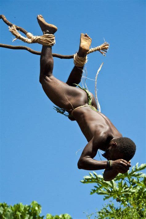 The Land Diving Ritual Of The Vanuatu People: A Test Of Bravery And A ...