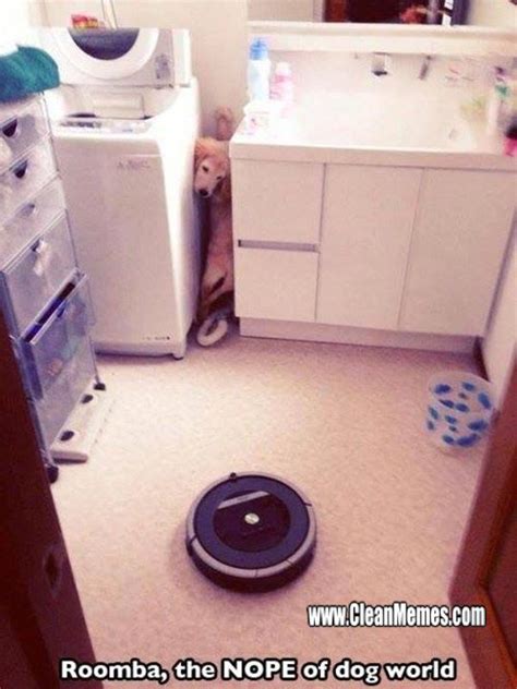 Roomba Nope Dog – Clean Memes