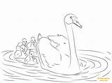 Swan And Babies Coloring Page  Free Printable Pages sketch template